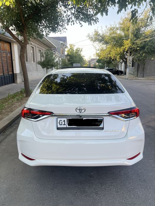 Toyota carolla 2024 yil