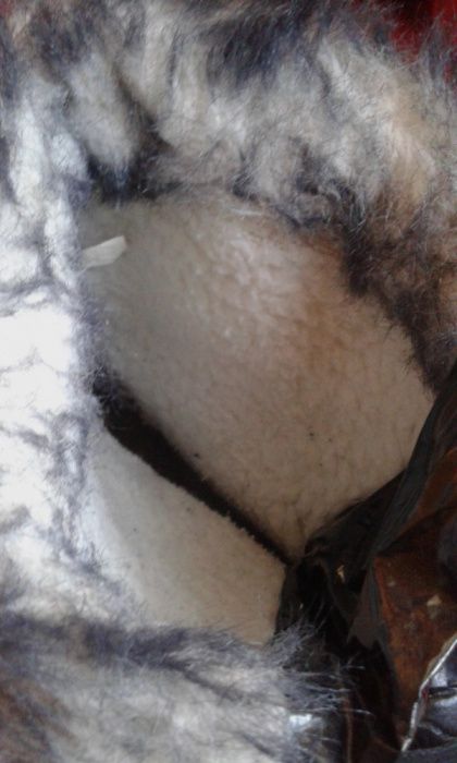 Боти Адидас и ботушки 34 и 35 номер