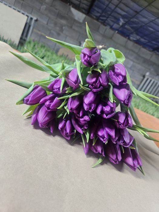 Цветы из собственной теплицы на 14 Февраля