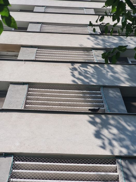 Montaj plasa tepi antipasari salvari animale alpinisti utilitari