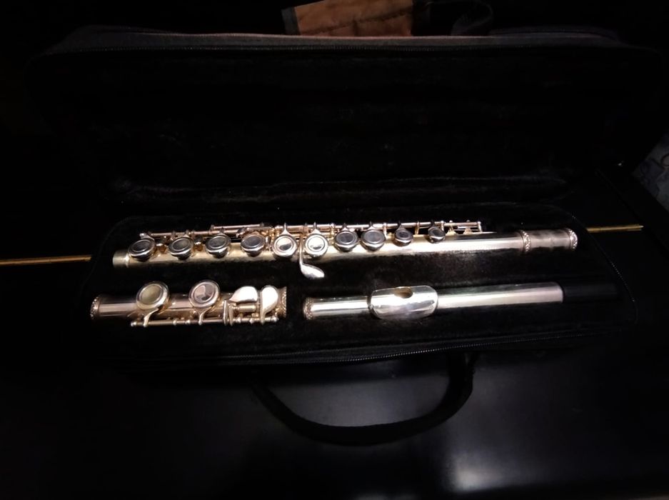 Профессиональная флейта