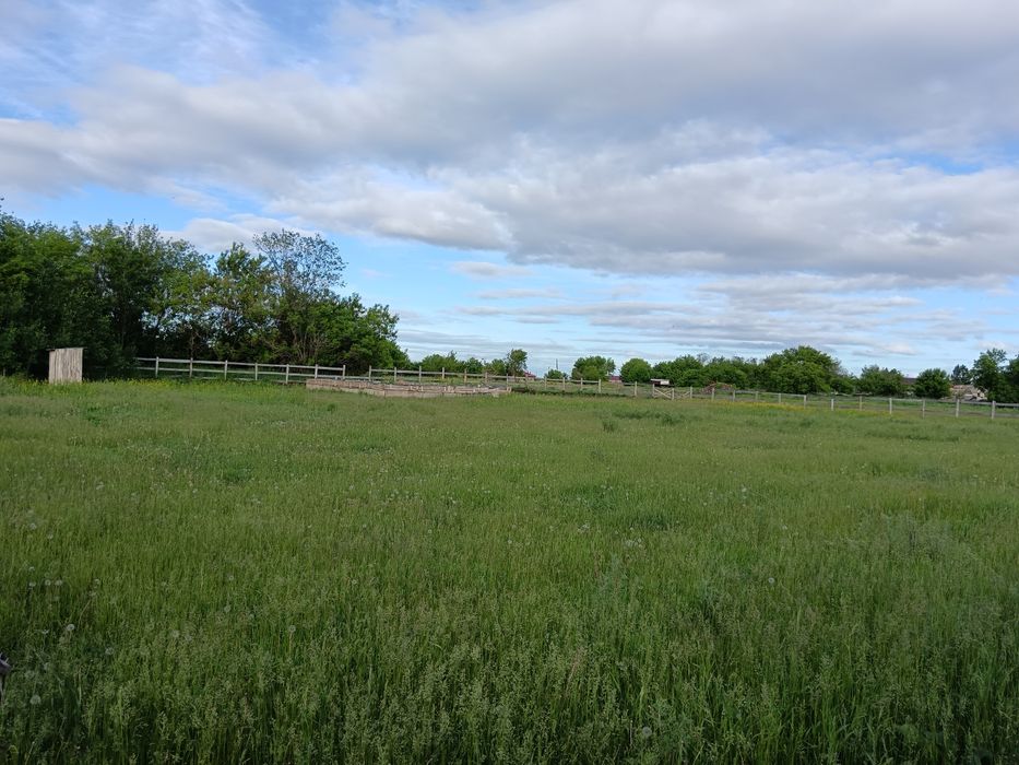 Продам землю в пригороде