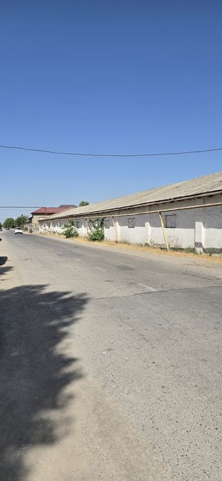 Кибрай 4.гек,биноси билан