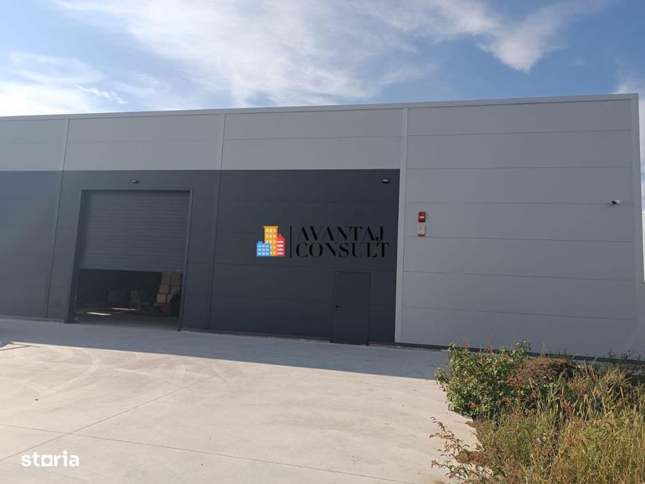 Hala Pantelimon Biruintei 593 mp