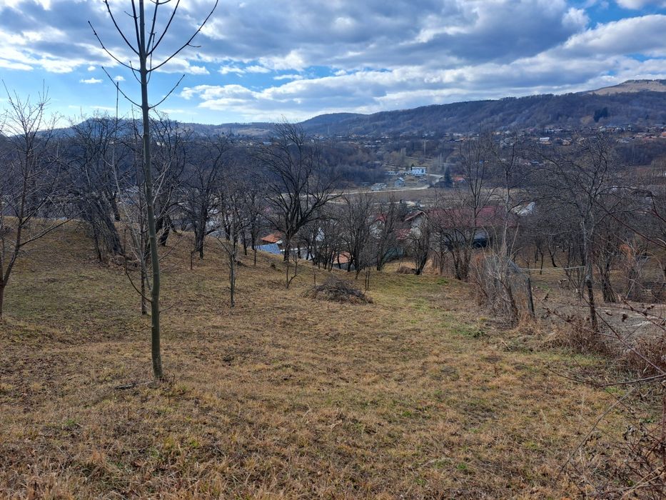 Teren intravilan