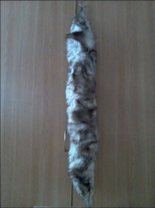 Guler deosebit, din blană de vulpe argintie