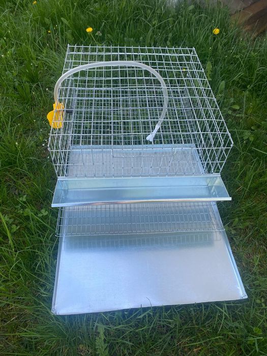 Cusca prepelita 25 cap