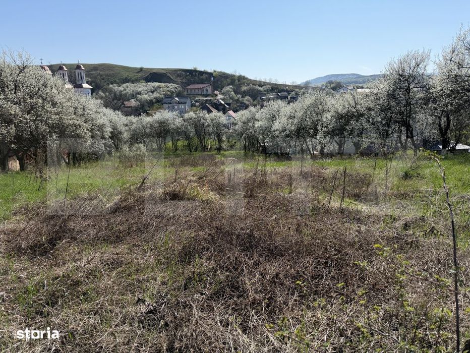 Teren intravilan in localitatea Criseni in suprafata de 2700 mp