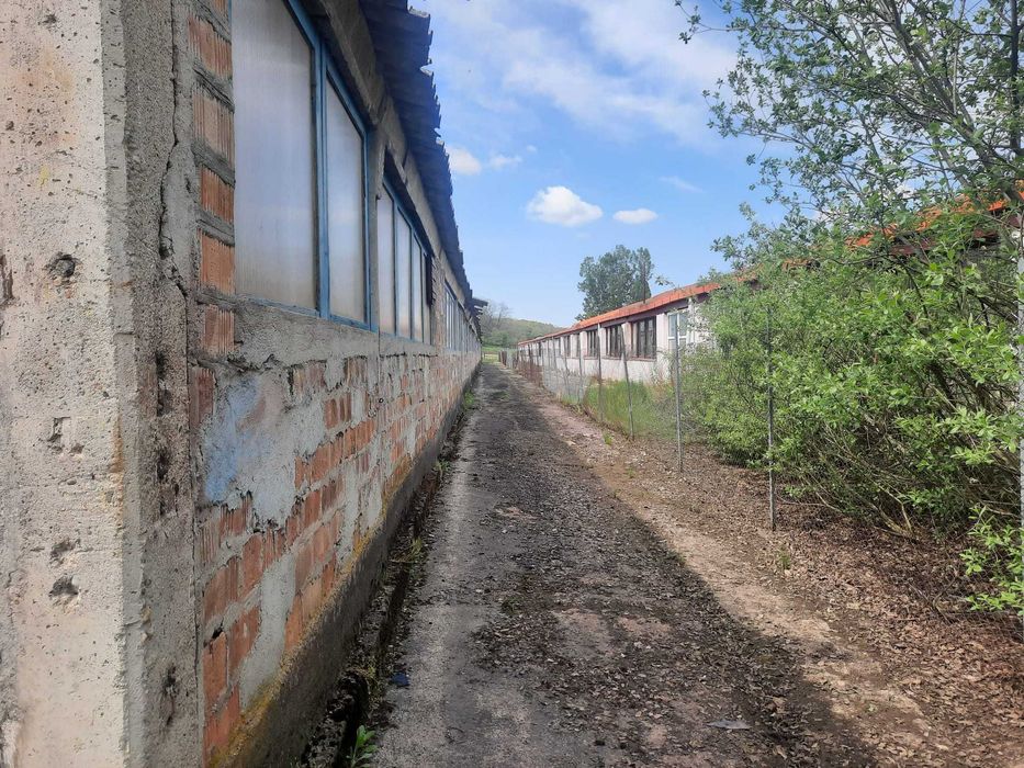 Hala de vanzare - localitatea Panic, judetul Salaj