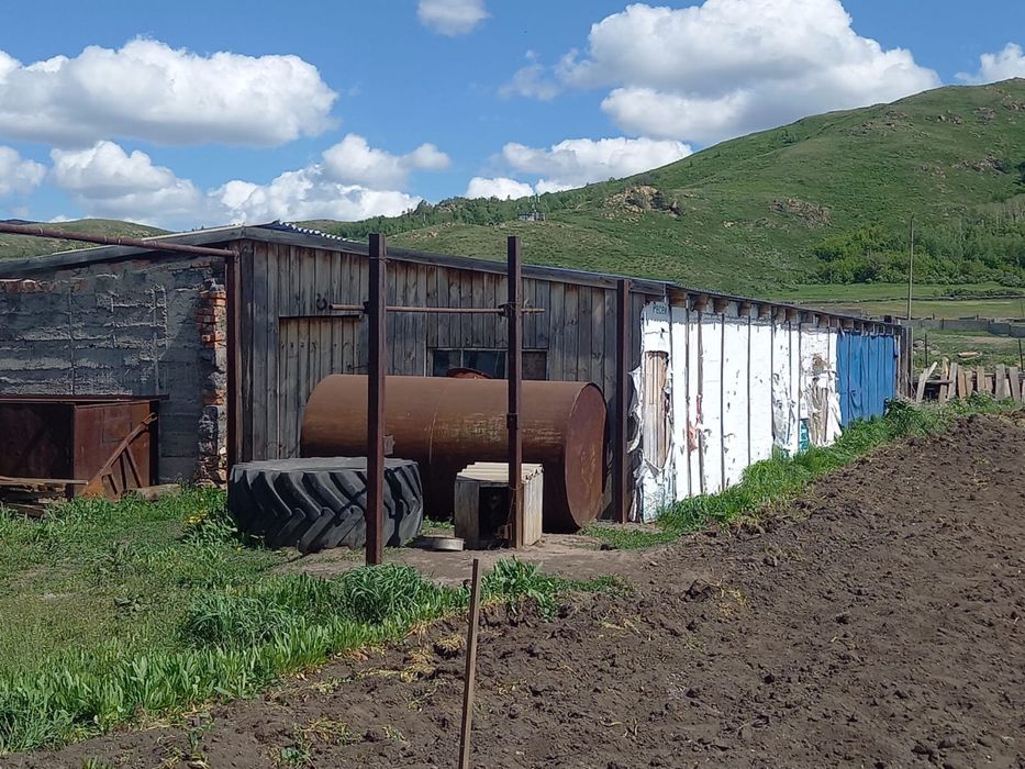 Продам дом село Веселовка