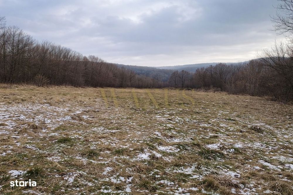 Proiect Exclusiv - 5 Parcele de Teren I PUZ Aprobat - Faget