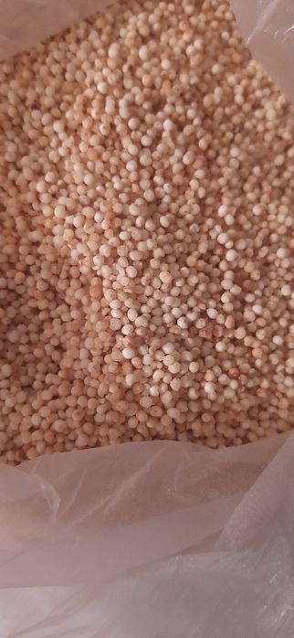 Продам пшено,просо,тары