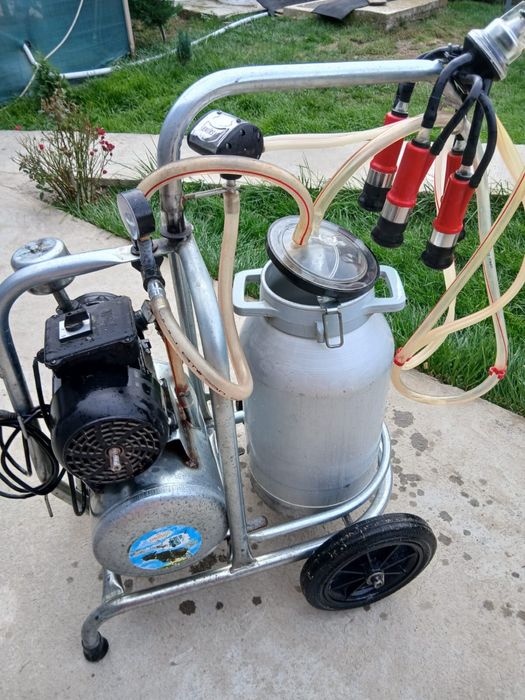 Aparat muls disponibil