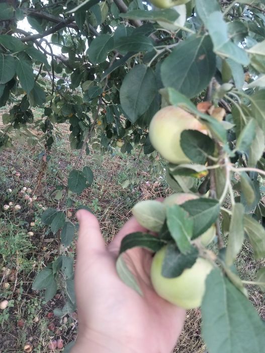Продам дачу по Красноярской трассе