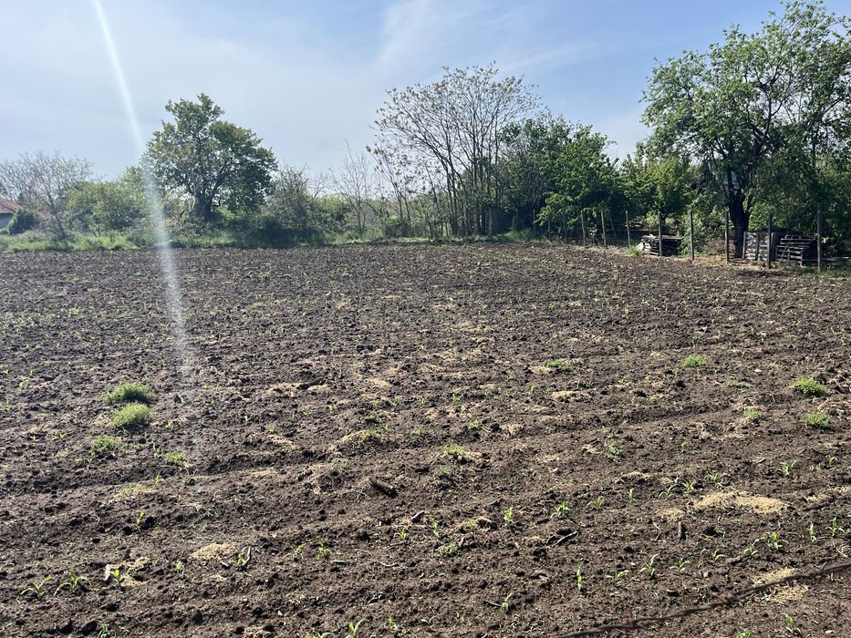 Продава се Парцел в с. Калипетрово, Област Силистра - 1911 кв.м за 13 €/кв.м - Снимка #1