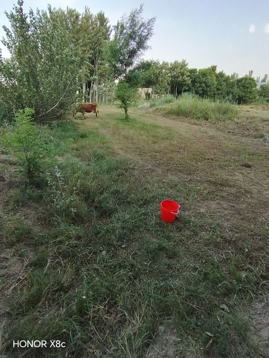 Жондор туманида [20] сотих ер участкаси сотилади — Ҳужжатлари жойида