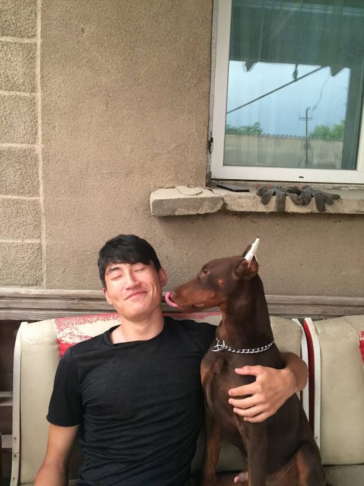 Дрессировка собак и щенков