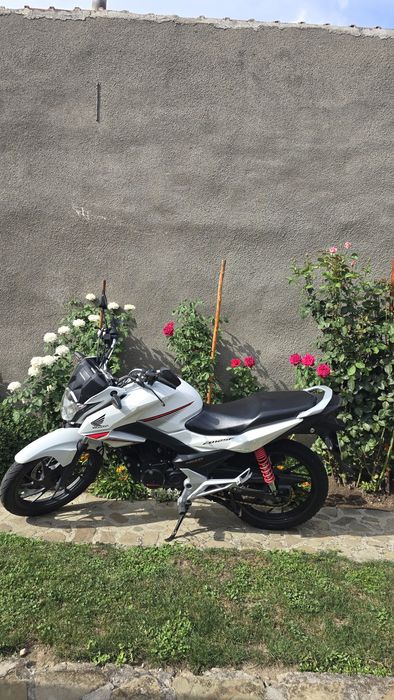 Motocicleta Honda  cb125f