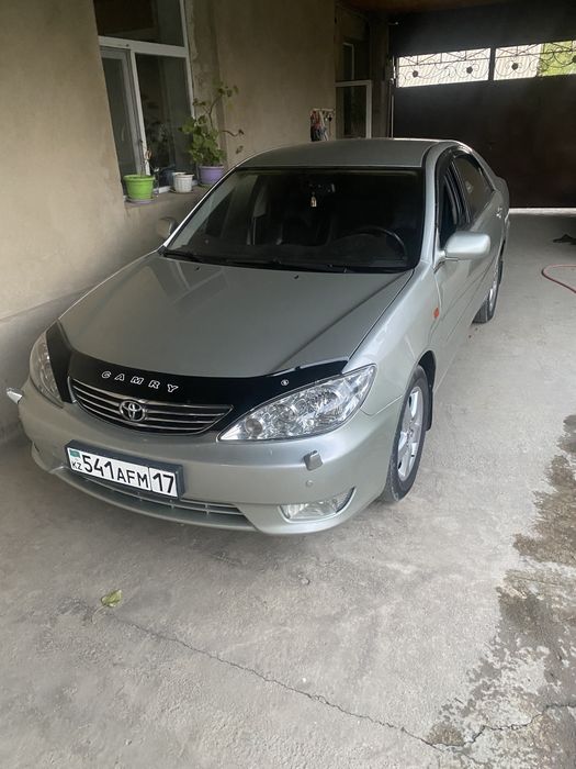 Продам европейку таету