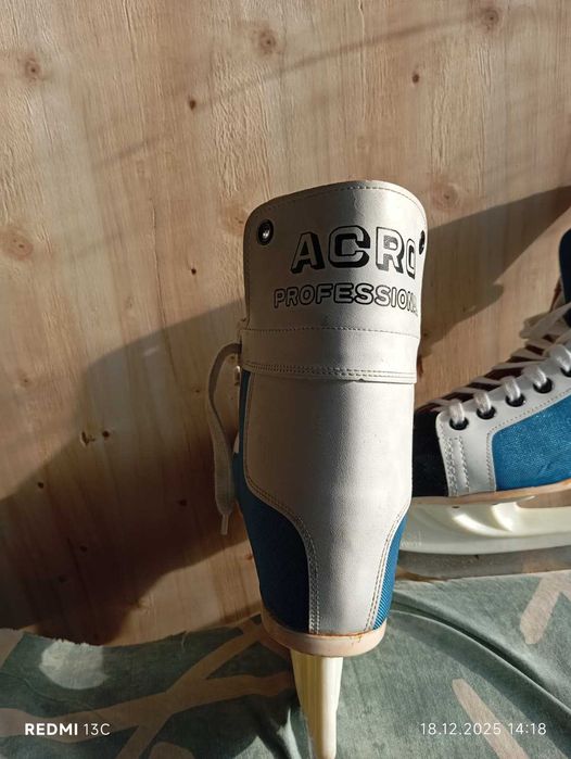 Patine profesionale  ARCO