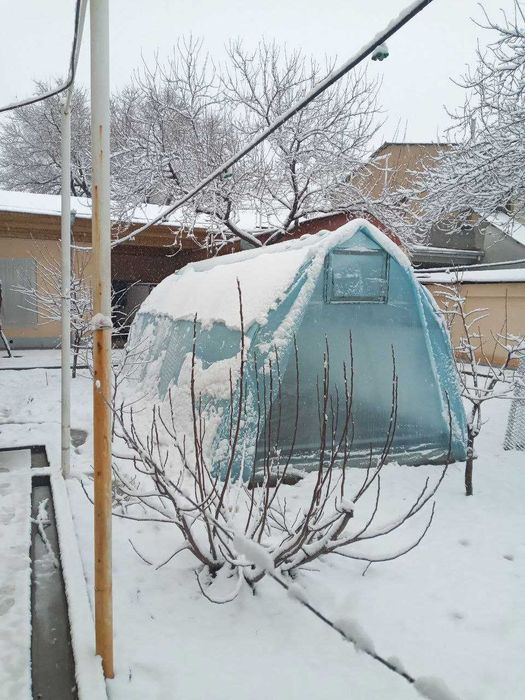 Теплица. Парник. Иссиқхона. Иссикхона.