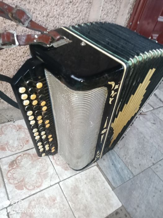 Баян.  Белорусь.