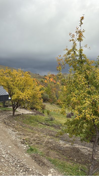 Teren de vanzare pitoresc in Secaria