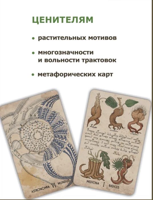Оракул войнича. Карты + руководство