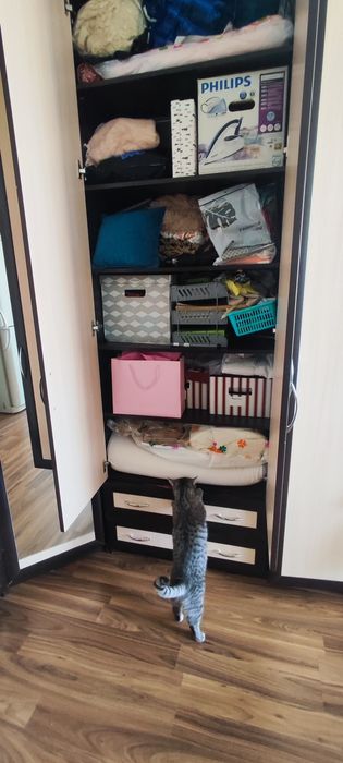 Шкаф угловой б/у