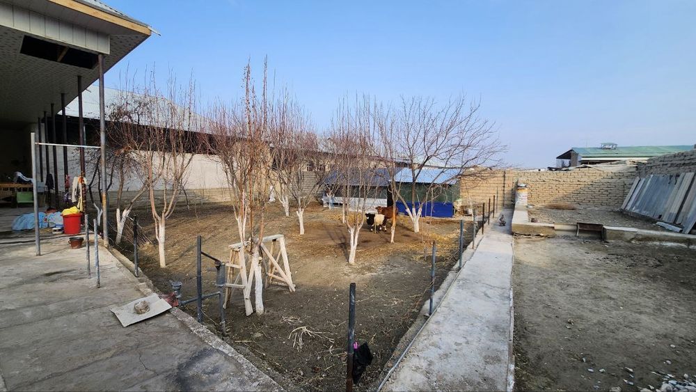 Ховли сотилади Эски шахар Мохинур туйхонани орка кучасидантуйхонани ор