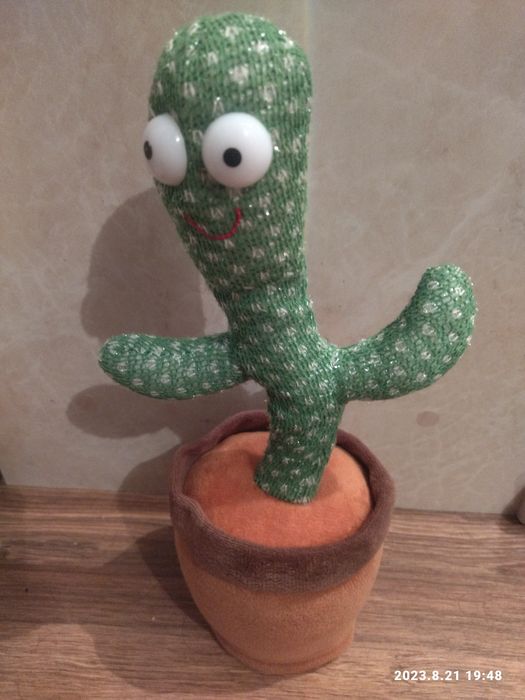 Kaktus oyinchoq sotiladi