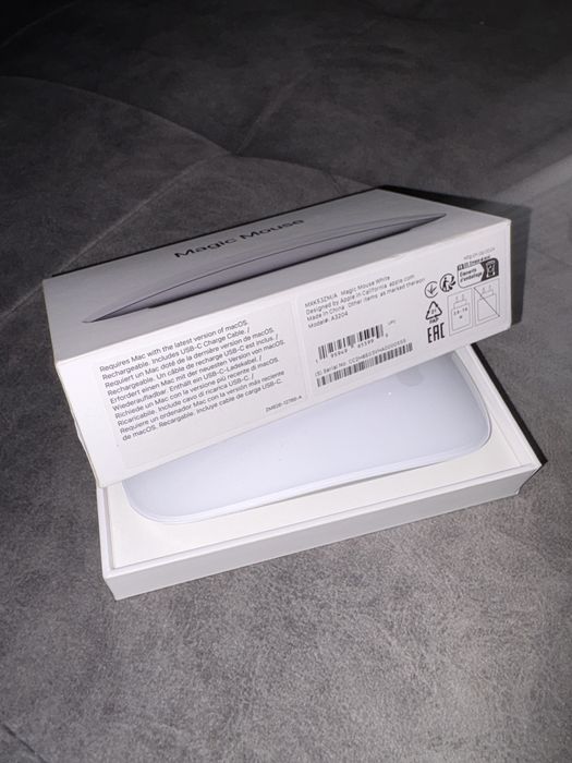 Apple magic Mouse