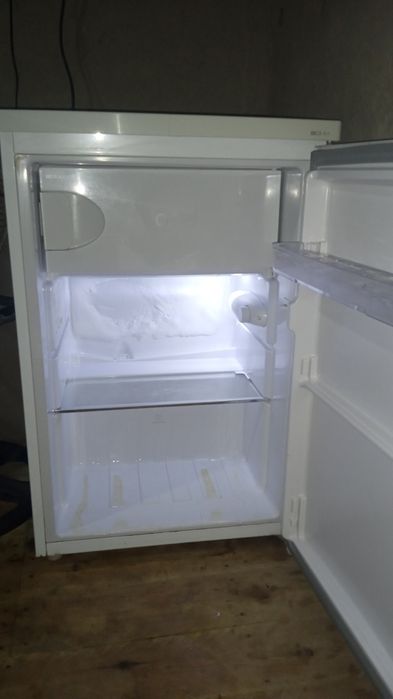 Xolati alo usta koʻrmagan