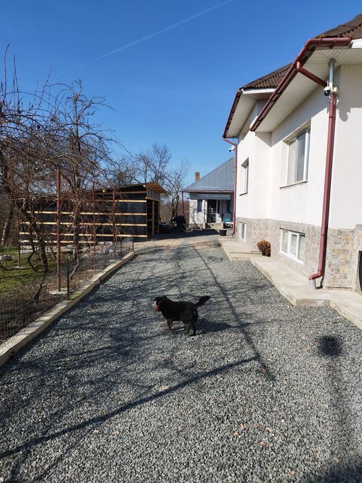 Vând casă D+P, Finteușu-Mare