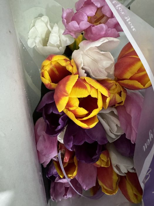 Продам цветыыыыыыыы