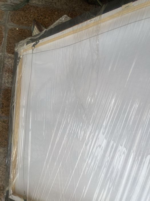 Постер картина РАКУШКИ