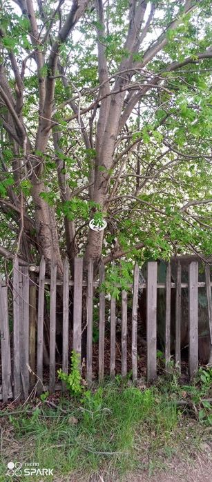 Продам два участка С.О. Автомобилист