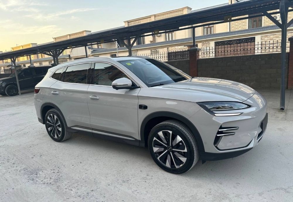 BYD Champion 2026 Smart