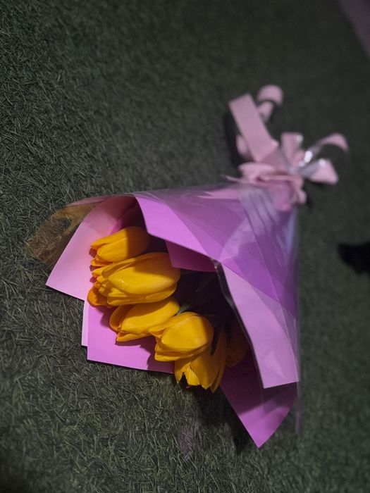 Голландские тюльпаны