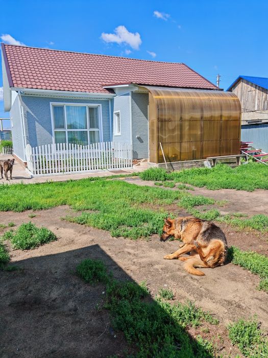 Дом севео - западный мик-он