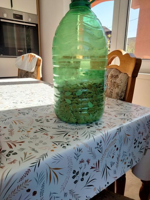 Vind semințe de dovleac