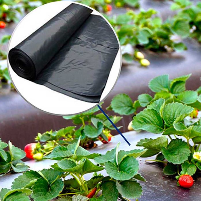 Мульчирующая пленка 40 мкм с перфорацией