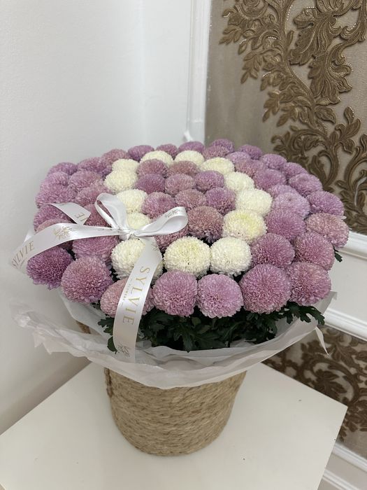 Цветы - хризантемы помпонные