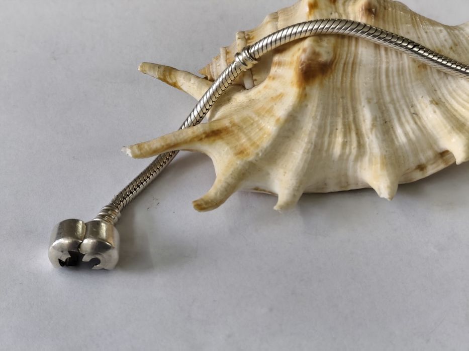 Сребърна гривна тип Пандора pandora