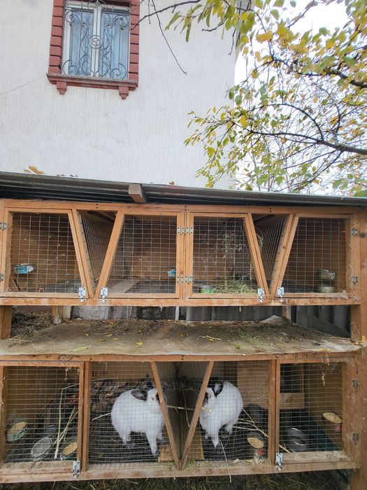 Клетки для кроликов