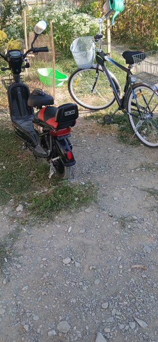 Продам мопед срочно