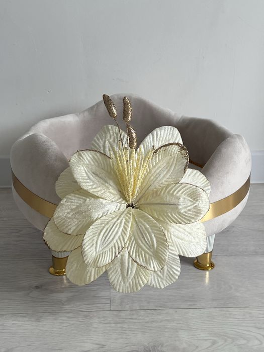 Тойбастар корзина