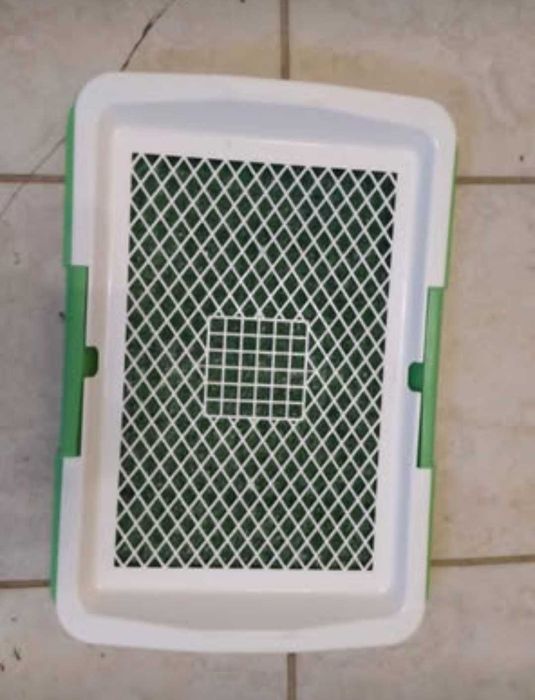 Toaleta cu covor din iarba artificiala