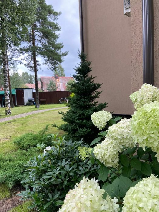 Озеленение, благоустройство, сад