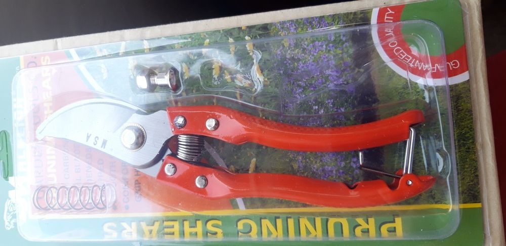 Foarfeca vita de vie